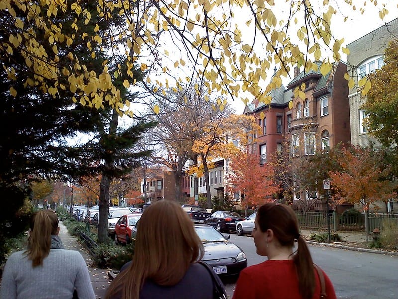 A photo of three people walking down a D.C. street, covered in fall foliage with orange, yellow, and red trees.