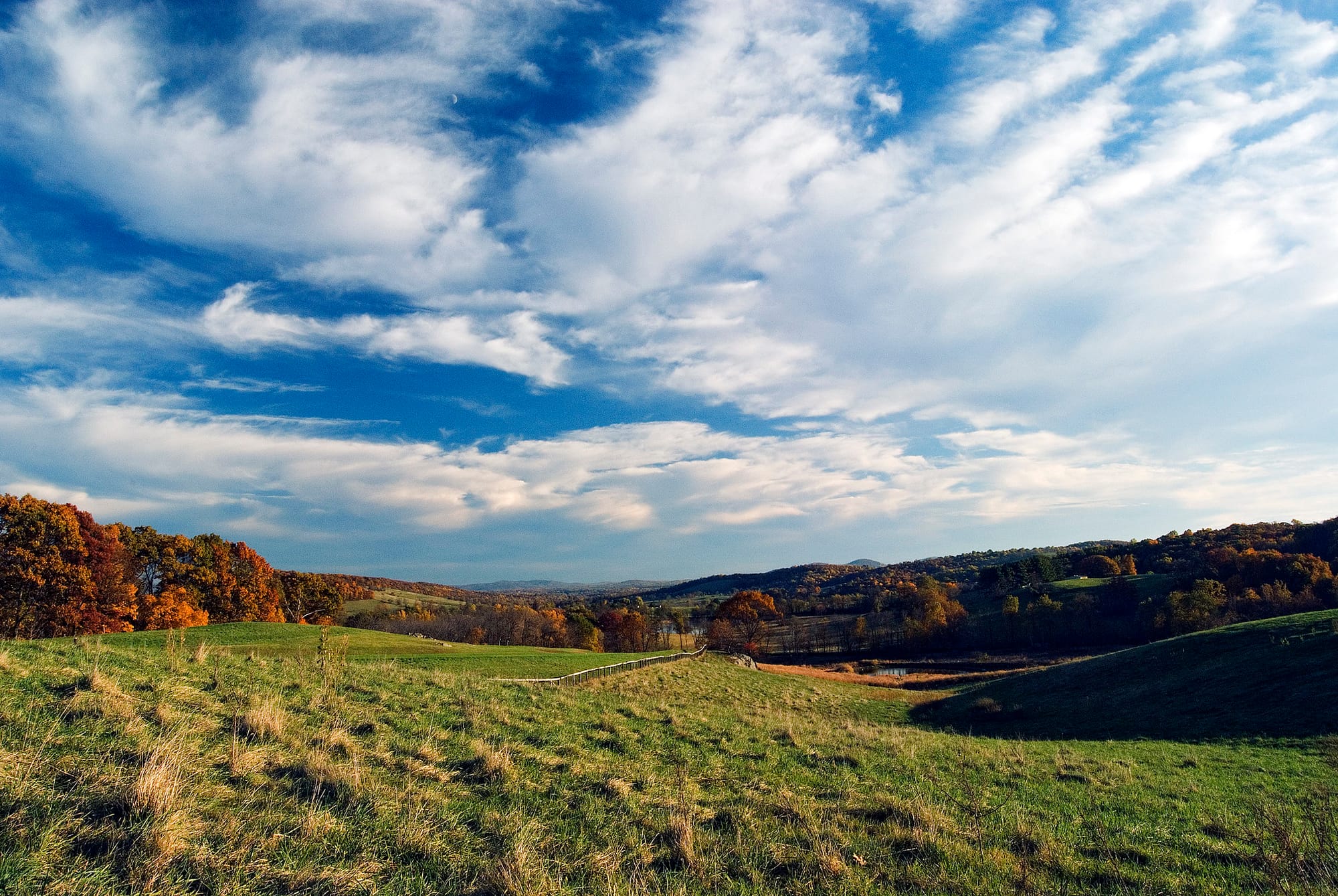 A view of a field sloping into a tree line full of fall foliage at Sky Meadows State Park.