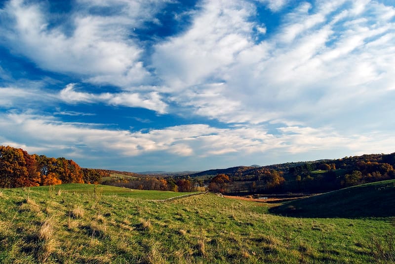 A view of a field sloping into a tree line full of fall foliage at Sky Meadows State Park.