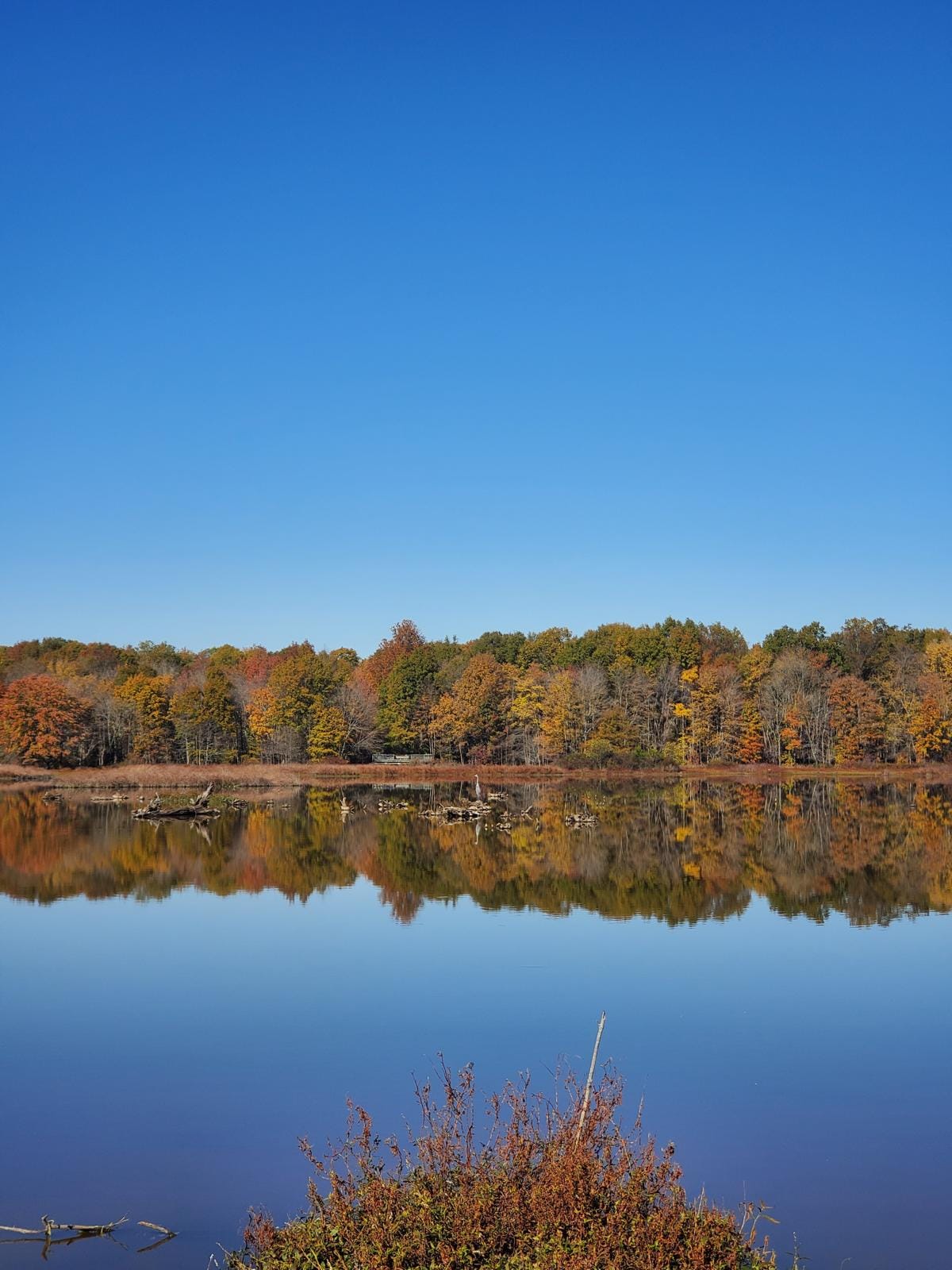 A view of water and, in the distance, trees with red orange and yellow leaves.