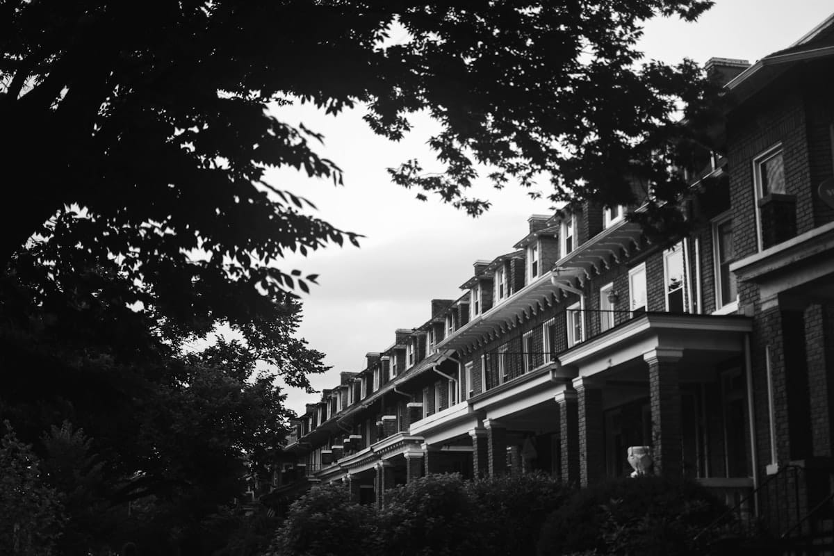 Black and white image of rowhomes in D.C. with trees in the foreground.