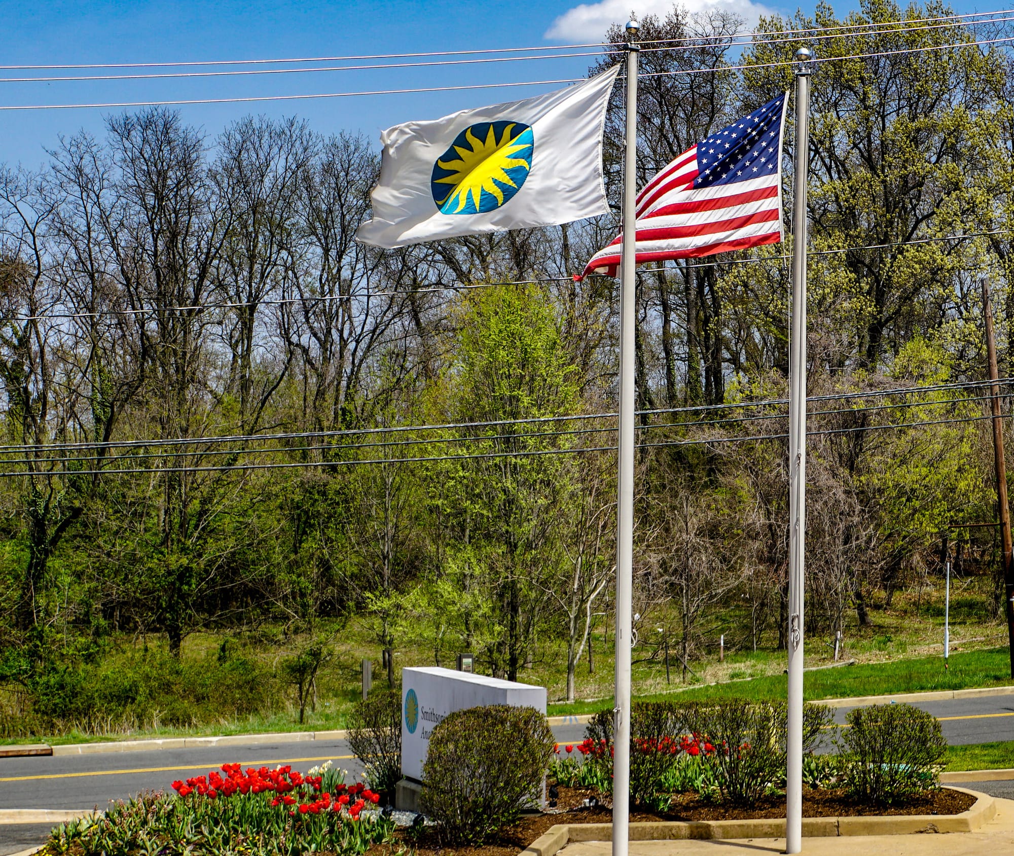 A flag with a gold star in a blue circle and the American flag fly on along a road in front of the Anacostia Community Museum. 