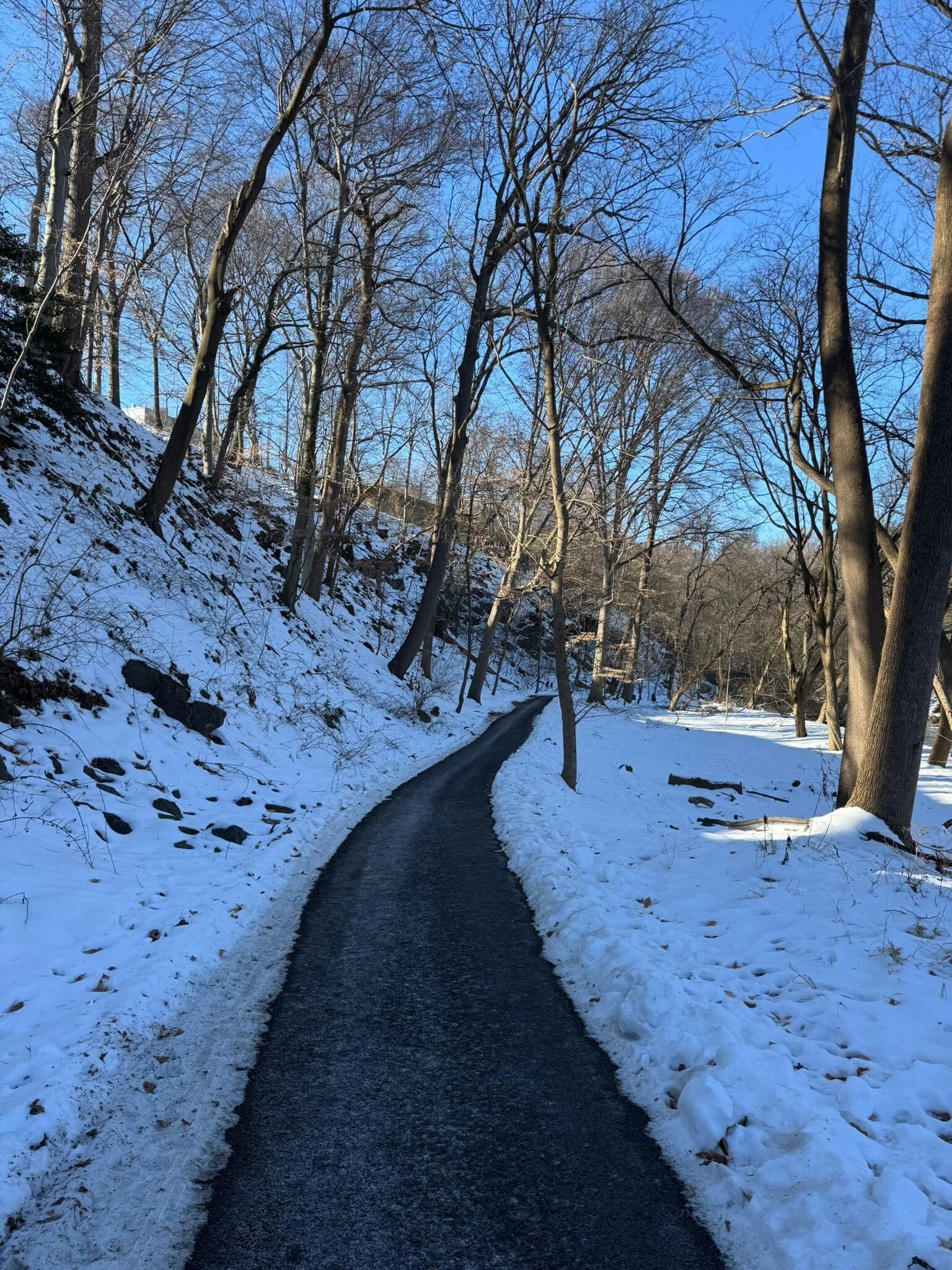 A paved path cleared of snow in an otherwise snowy woods. It's shady, although the sun is lighting up a part of the forest. 