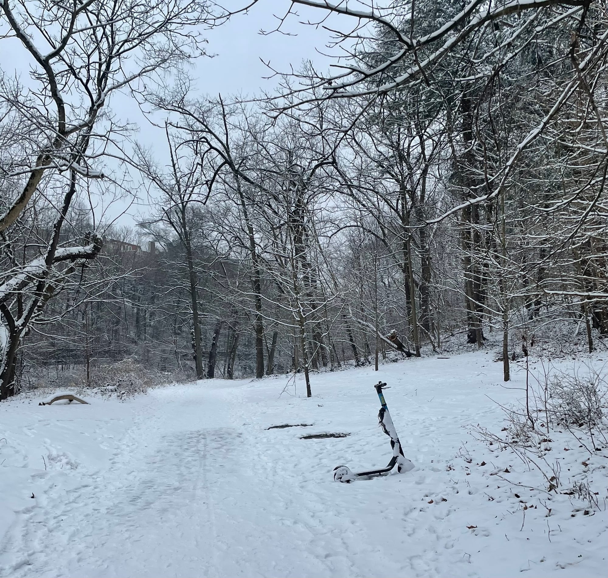 A scooter is surrounded by a snow-filled forest.