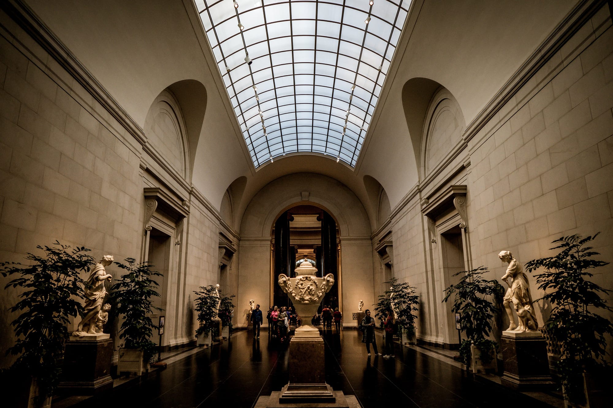 A dimly lit corridor full of plants and sculptures, with a large skylight.