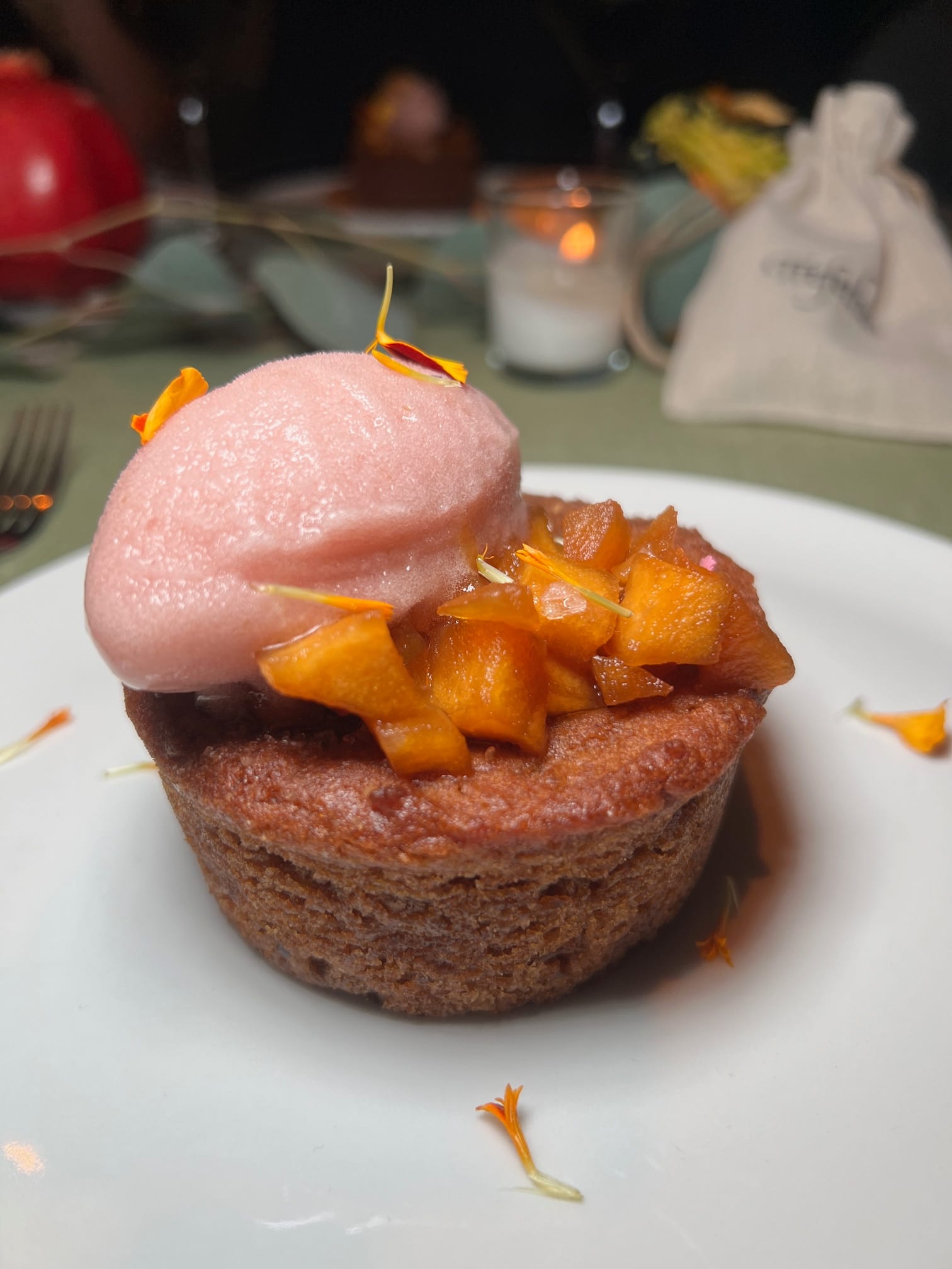 A small piece of round, dark brown cake with a pink scoop of sherbet. 