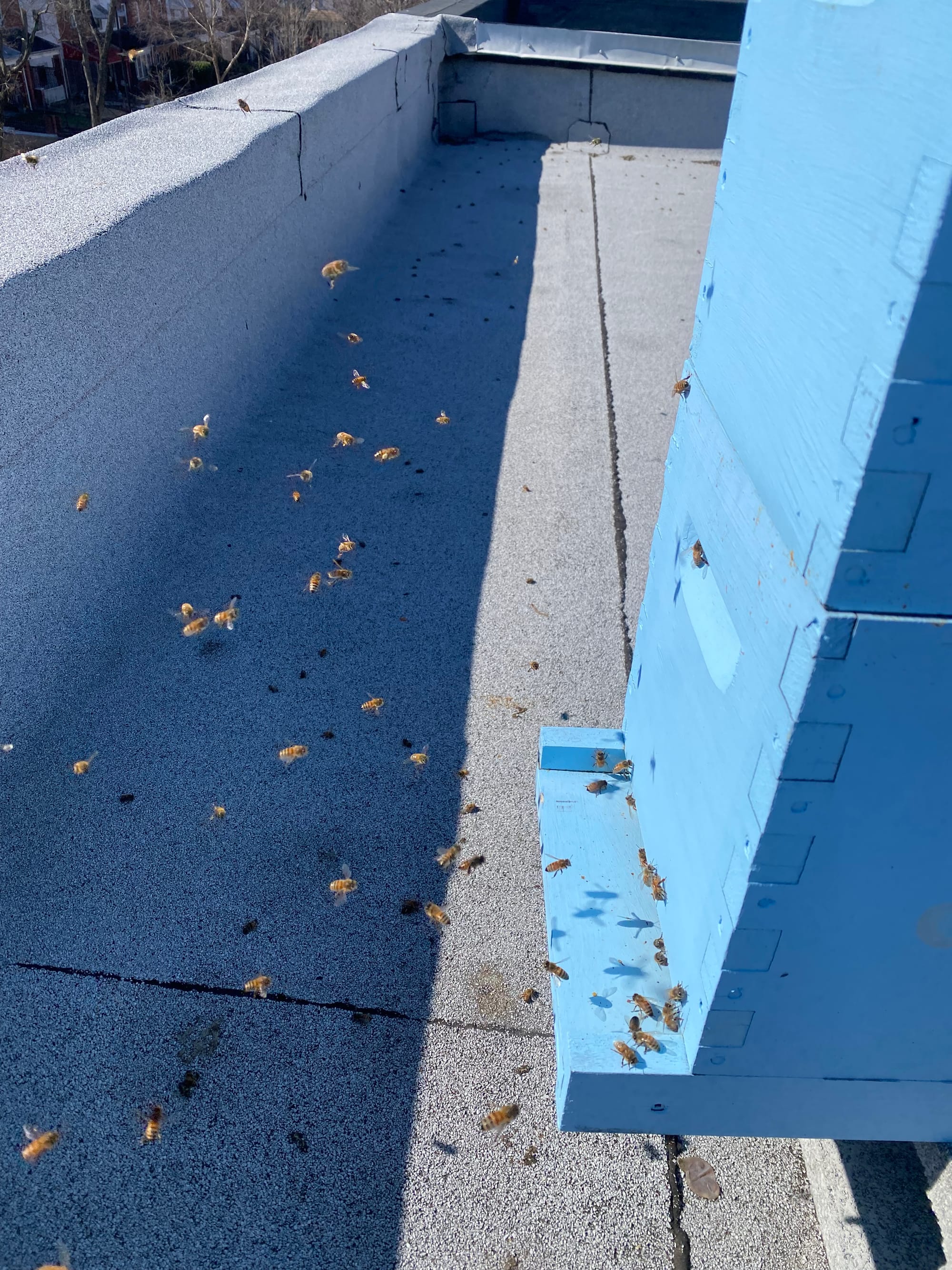 A picture of a swarm of bees on a rooftop hive.