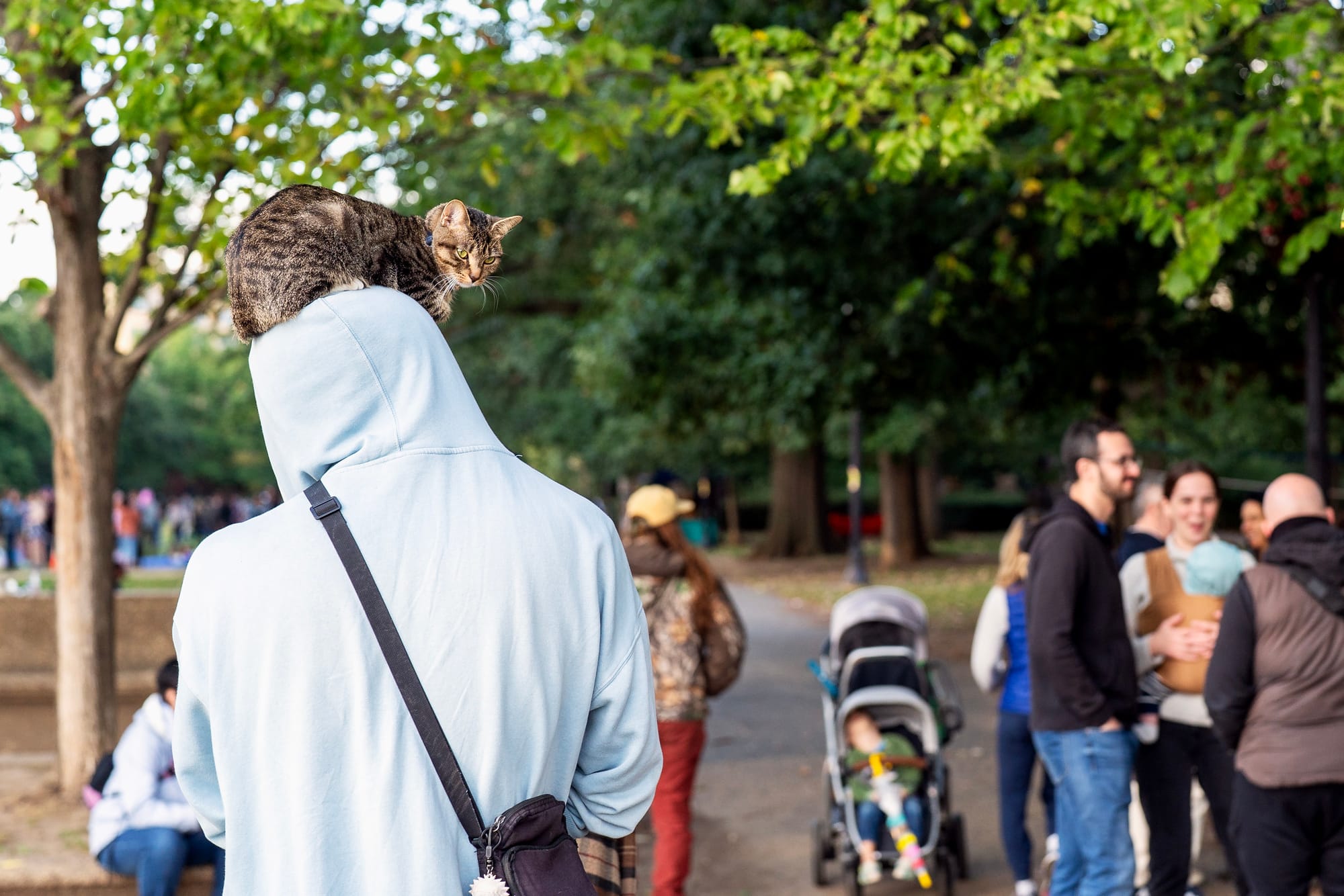 A man walks with a cat on top of his head in Malcolm X Park.