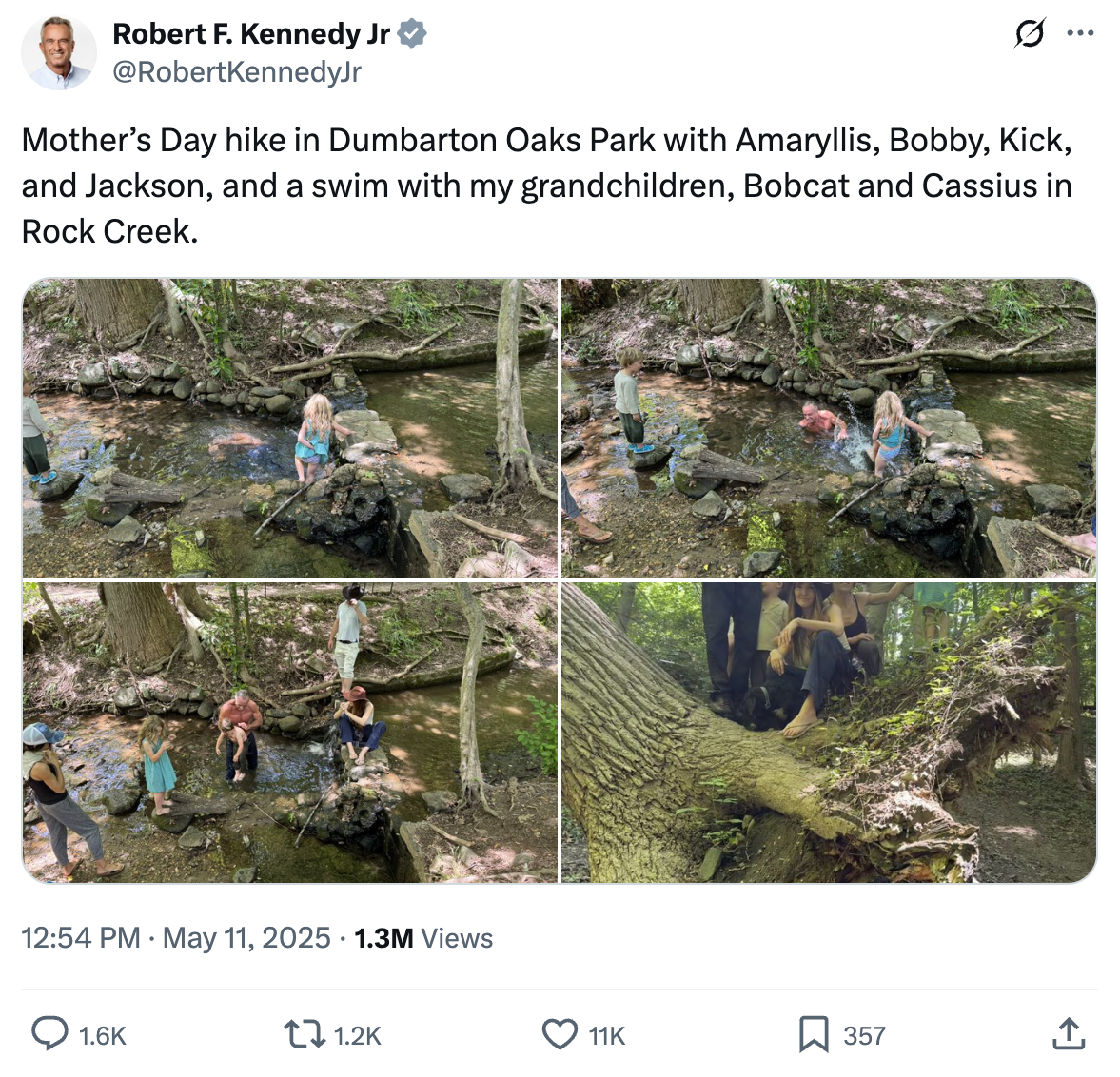 A screenshot of an RFK Jr. tweet about swimming in Rock Creek Park.