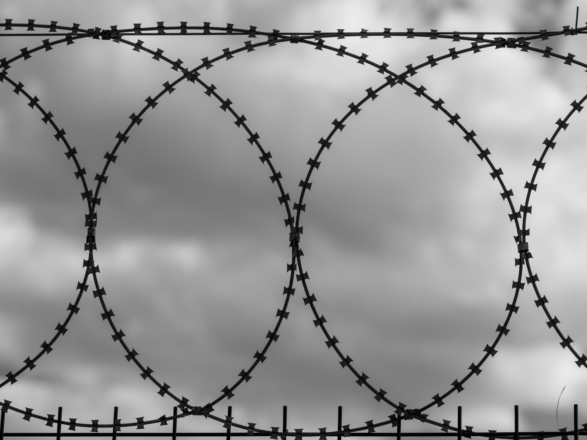 A black and white image of barbed wire