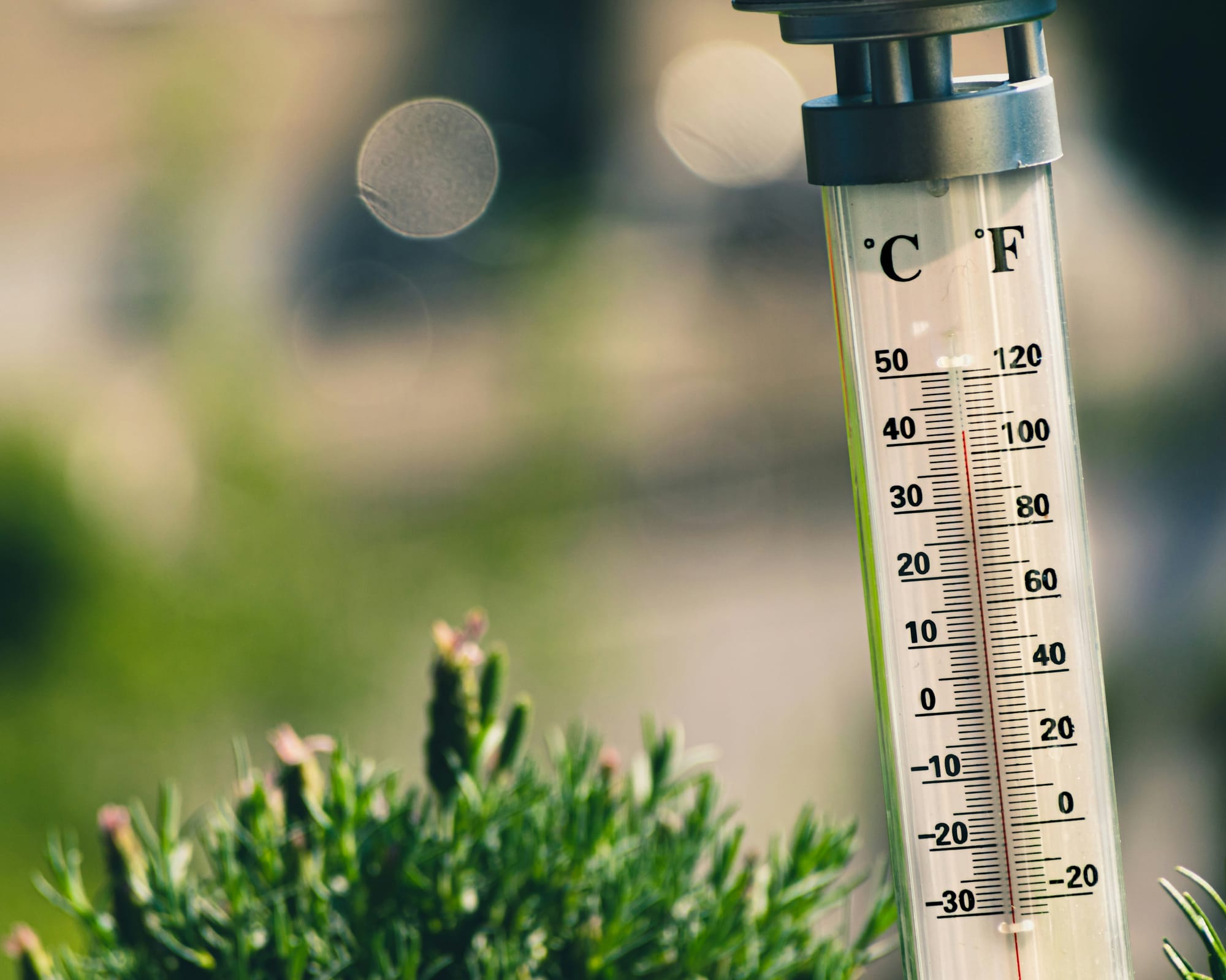 107 degrees on a thermostat in grass.