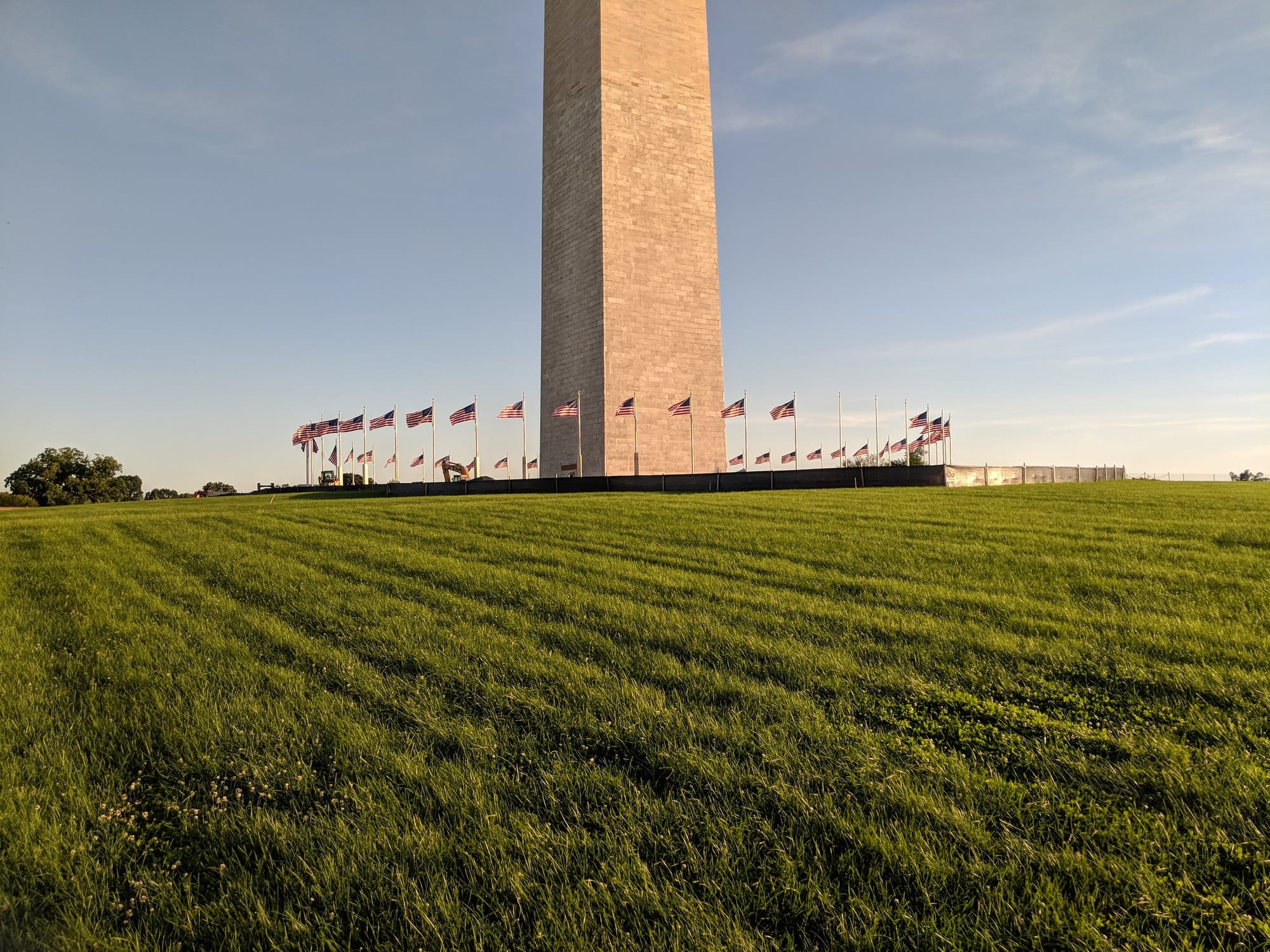 Grass in front of the Washington Monument
