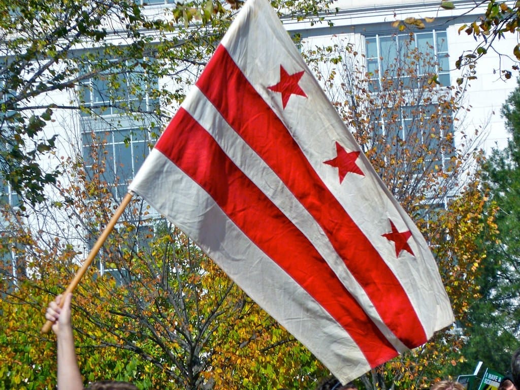 A person holds up the D.C. flag