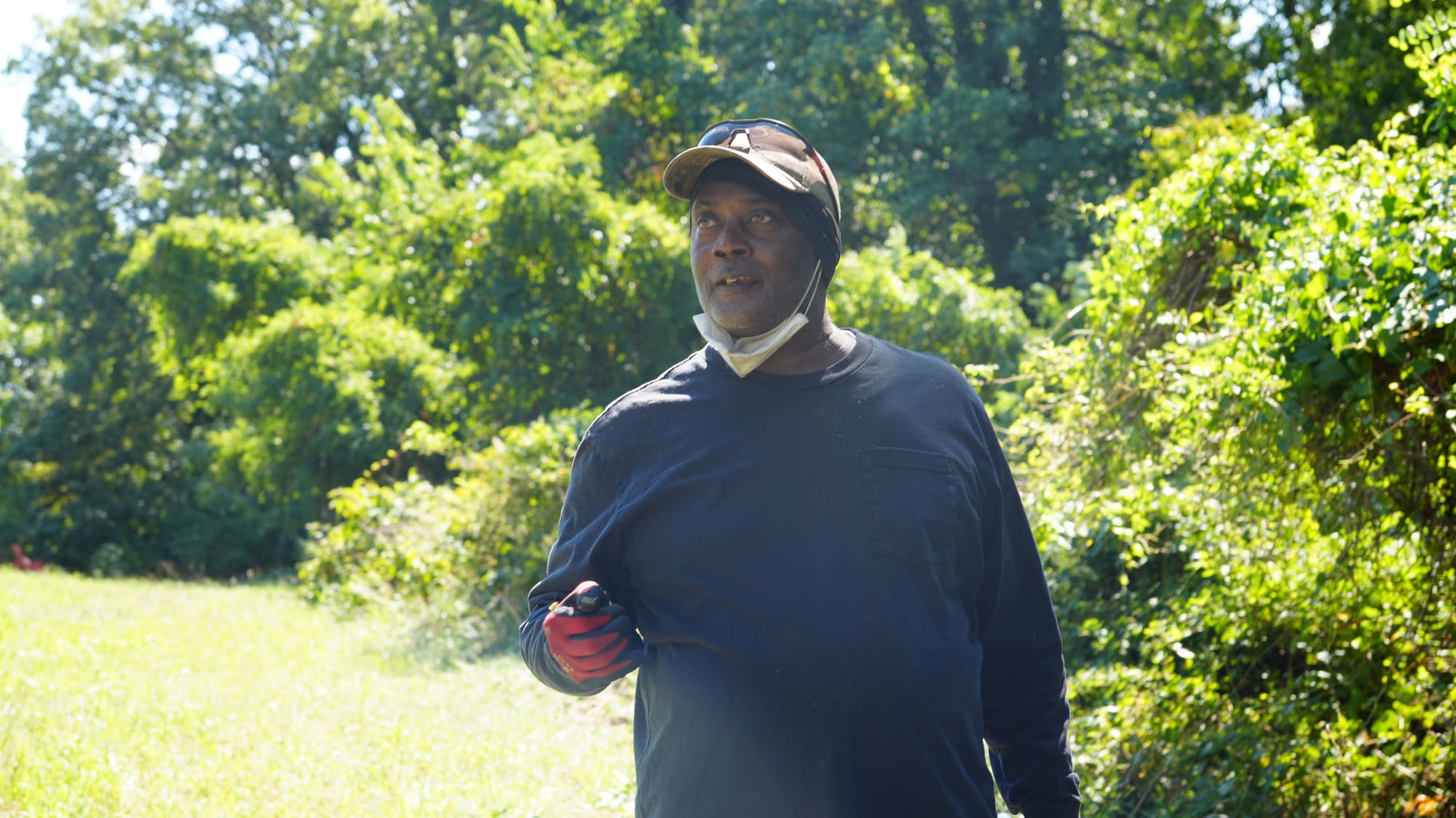 As invasive vines threaten to strangle our trees, volunteers are fighting them back