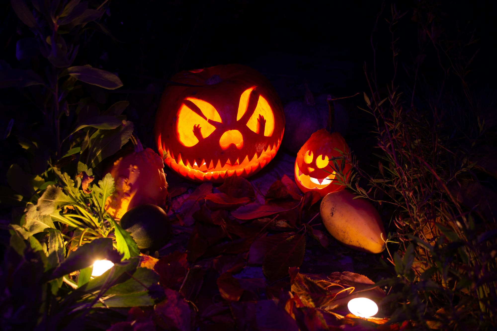 Two spooky jack-o-lanterns in a yard, lit up by candles.