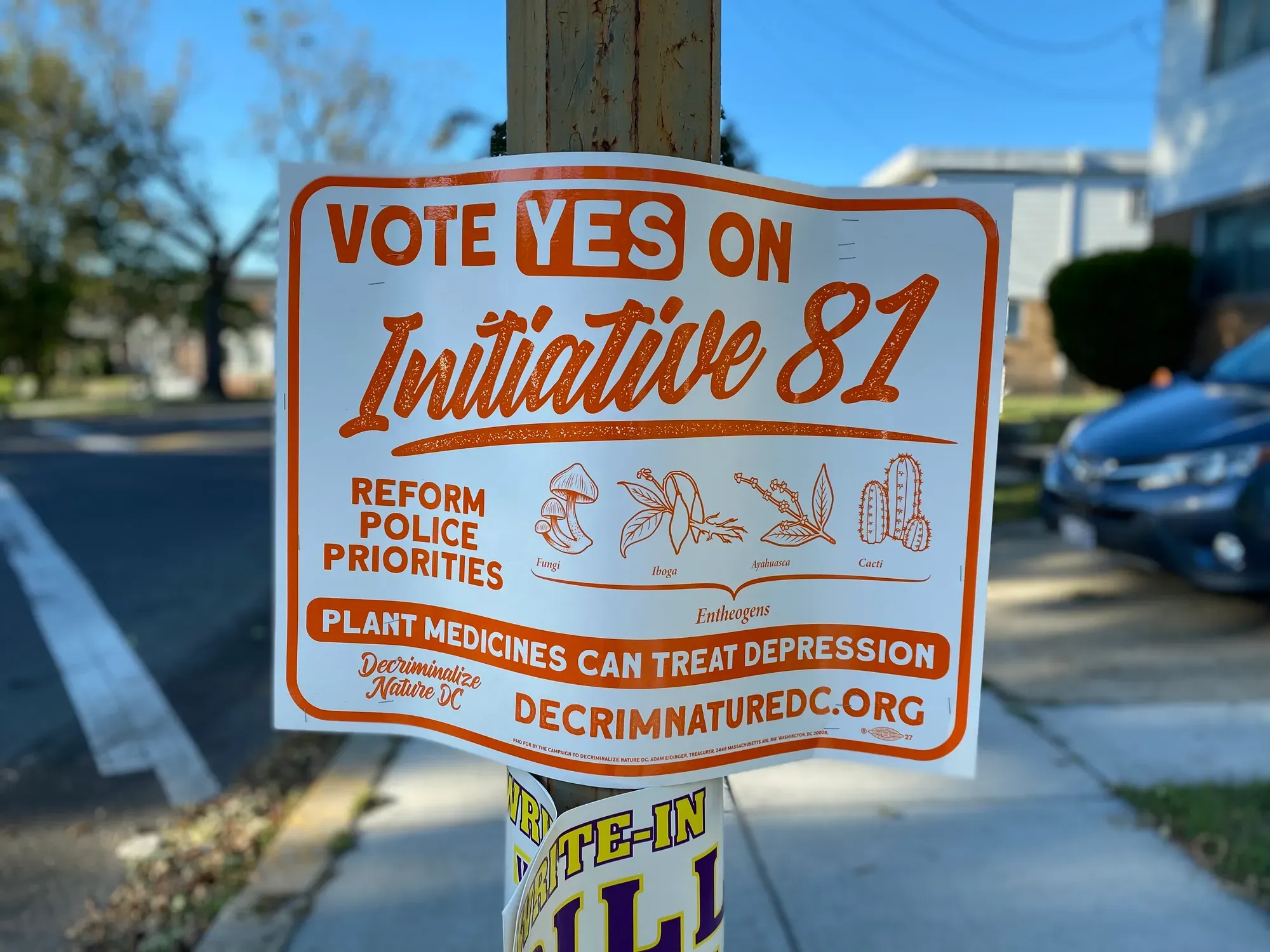 A sign that says: "Vote Yes on Initiative 81" and "reform police priorities" and "plant medicines can treat depression."