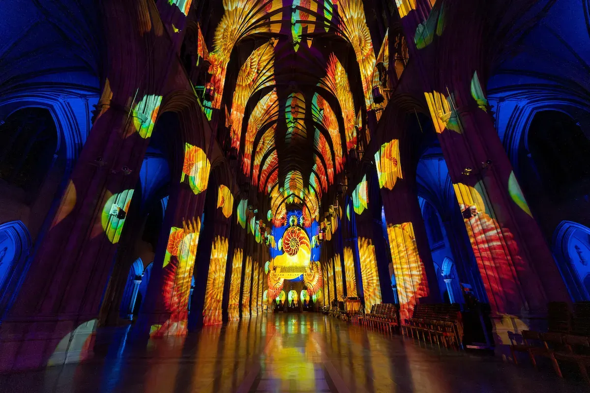 A picture of the inside of the National Cathedral, lit us with rainbow colored lights.