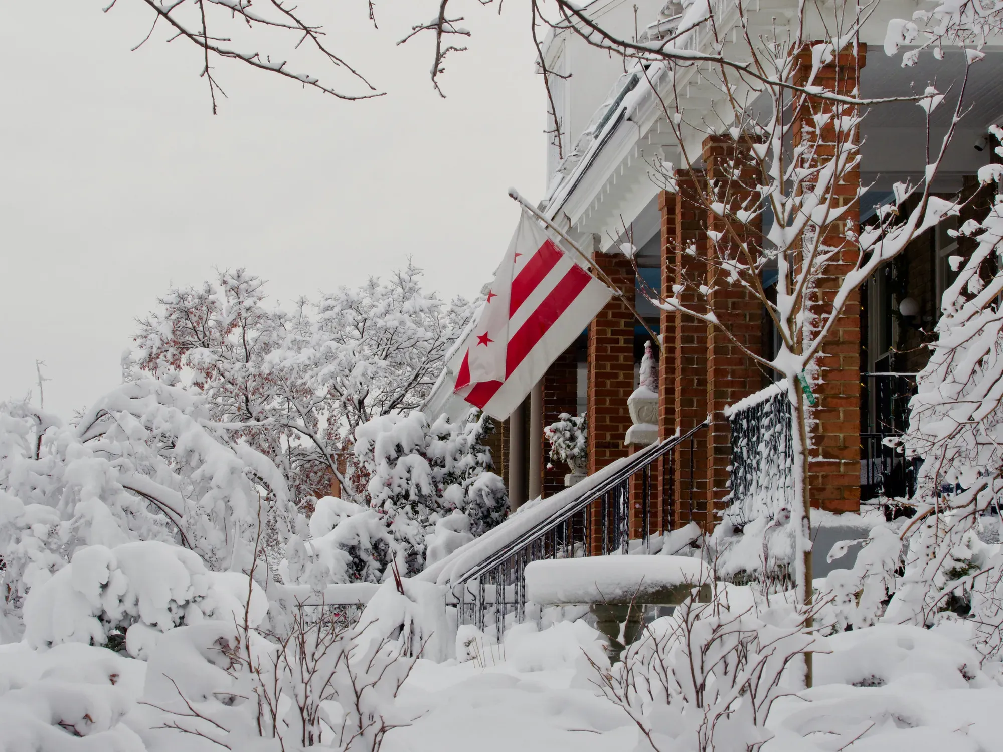 A Washington D.C. flag in the snow.