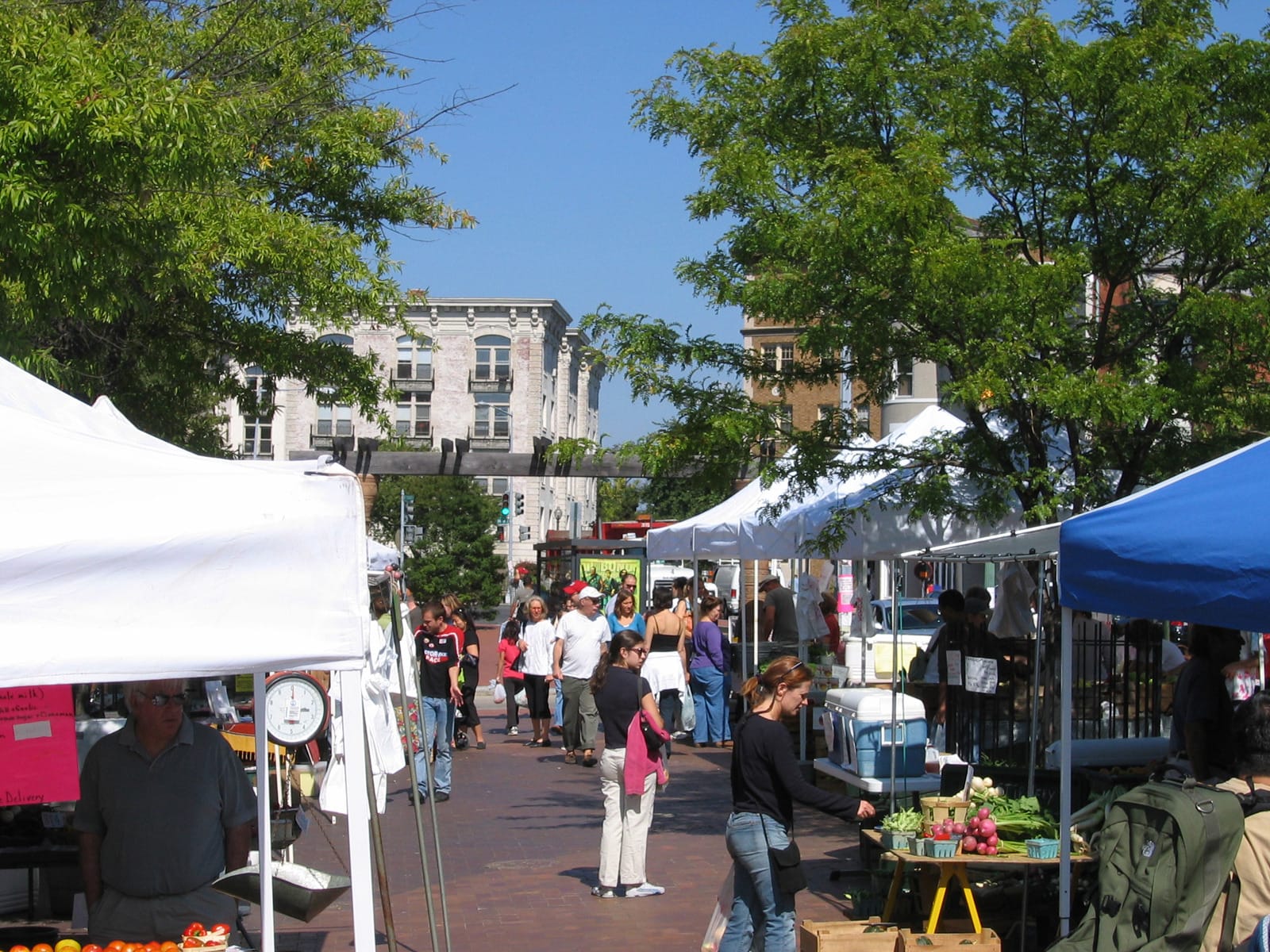 Stands at the Mount Pleasant farmer's market in Lamont Plaza.