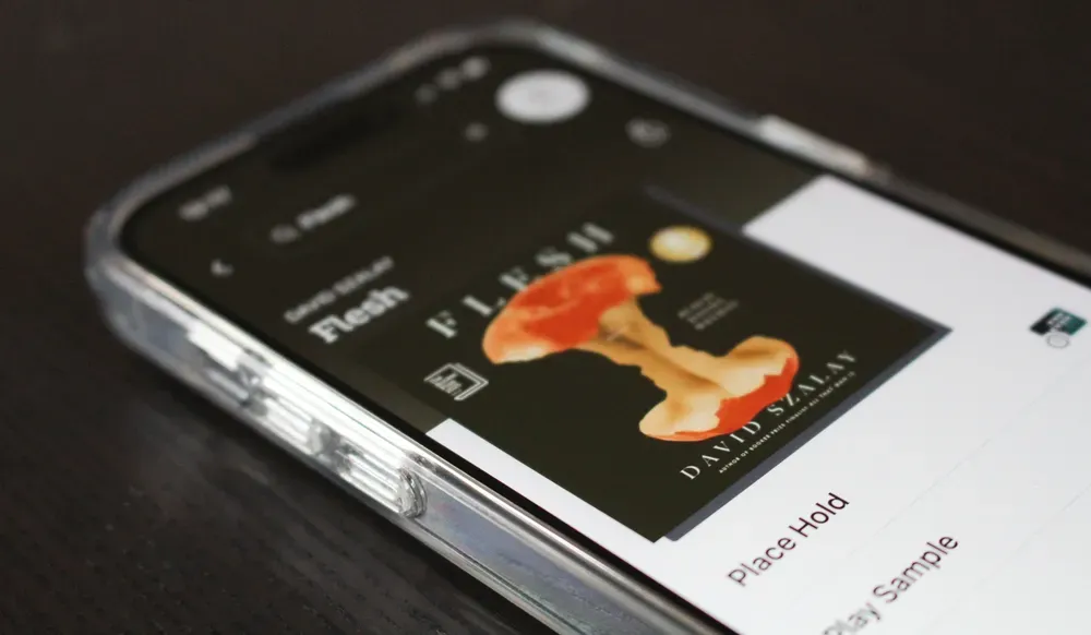 A phone with a screen of an e-reader. 