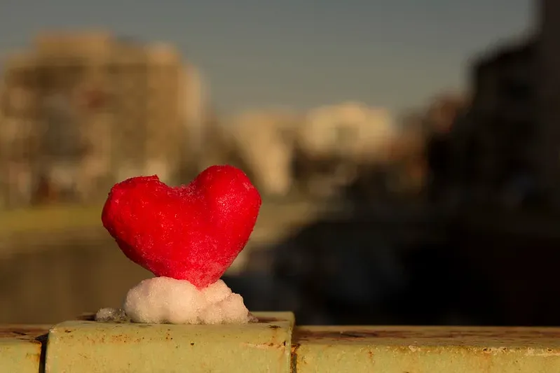 A Washington D.C. flag in the snow.
