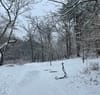 A scooter sits in a forest, next to a path covered in snow.