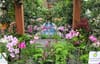 A lush indoor garden, overflowing with light purple and pink orchids.