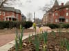 Daffodils begin to bloom in a garden in D.C.'s Bloomingdale neighborhood.