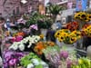 A large display of flowers for sale at Eastern Market