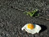 Fried egg on dirt/concret