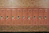 An image of a row of closed lockers.