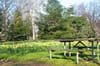 a picnic table in a field of blooming daisies