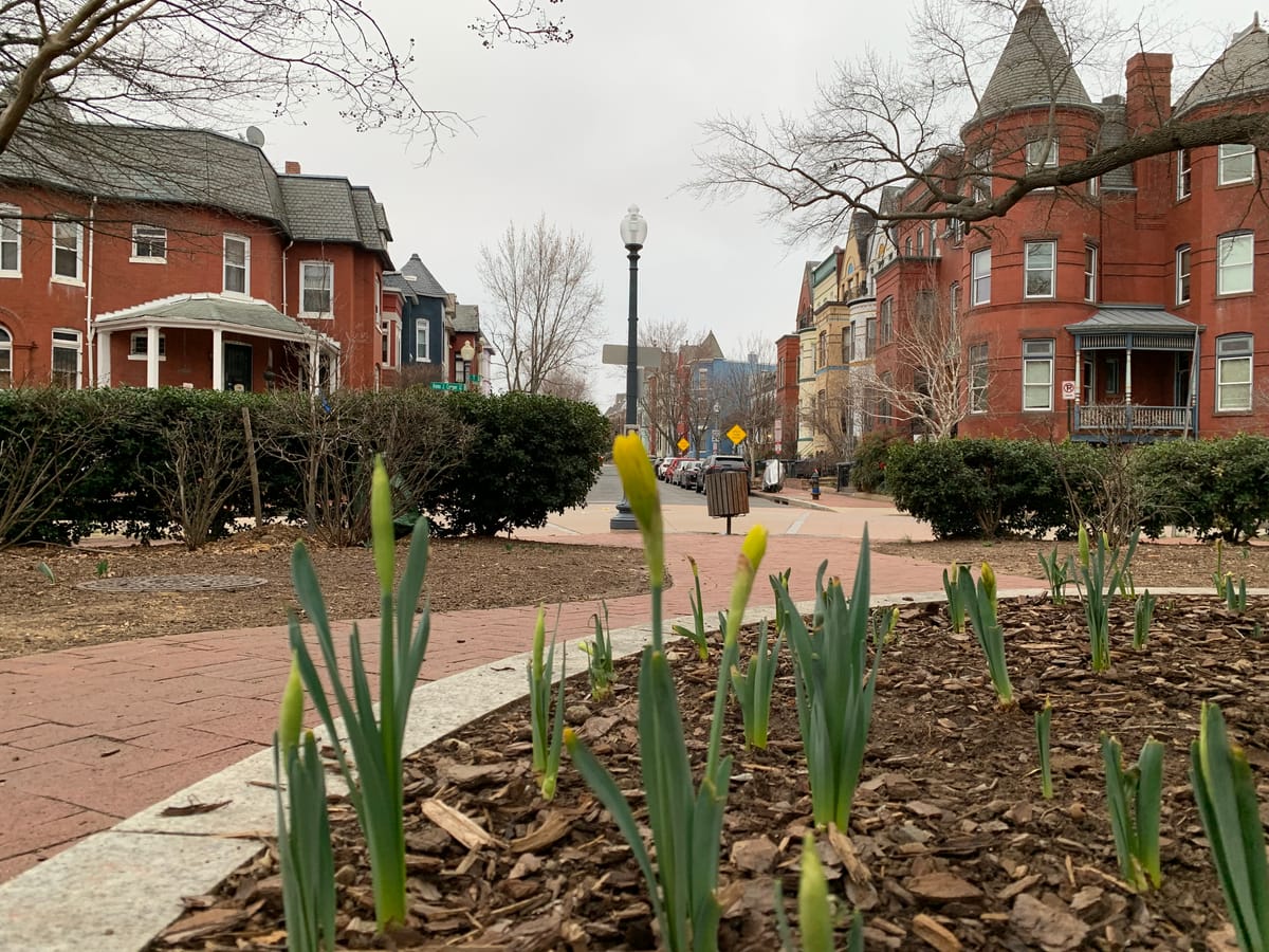 Your photos: the first glimpses of D.C. spring