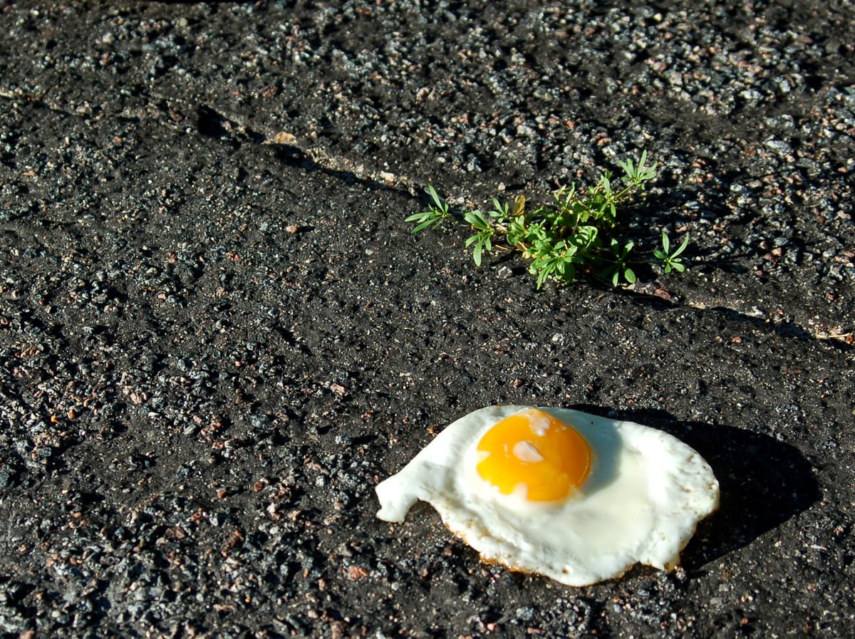 Fried egg on dirt/concret