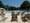 A photo of empty pool chairs in front of a swimming poo