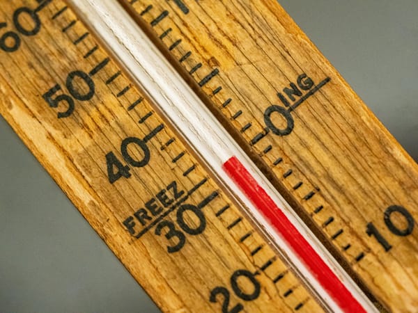 A thermometer reads a freezing temperature. 