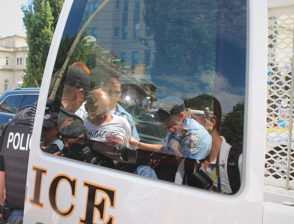 A photo of someone getting arrested, as seen through the rear window of a police vehicle.