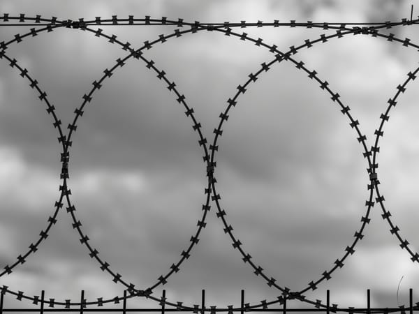 A black and white image of barbed wire