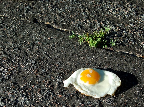 Fried egg on dirt/concret